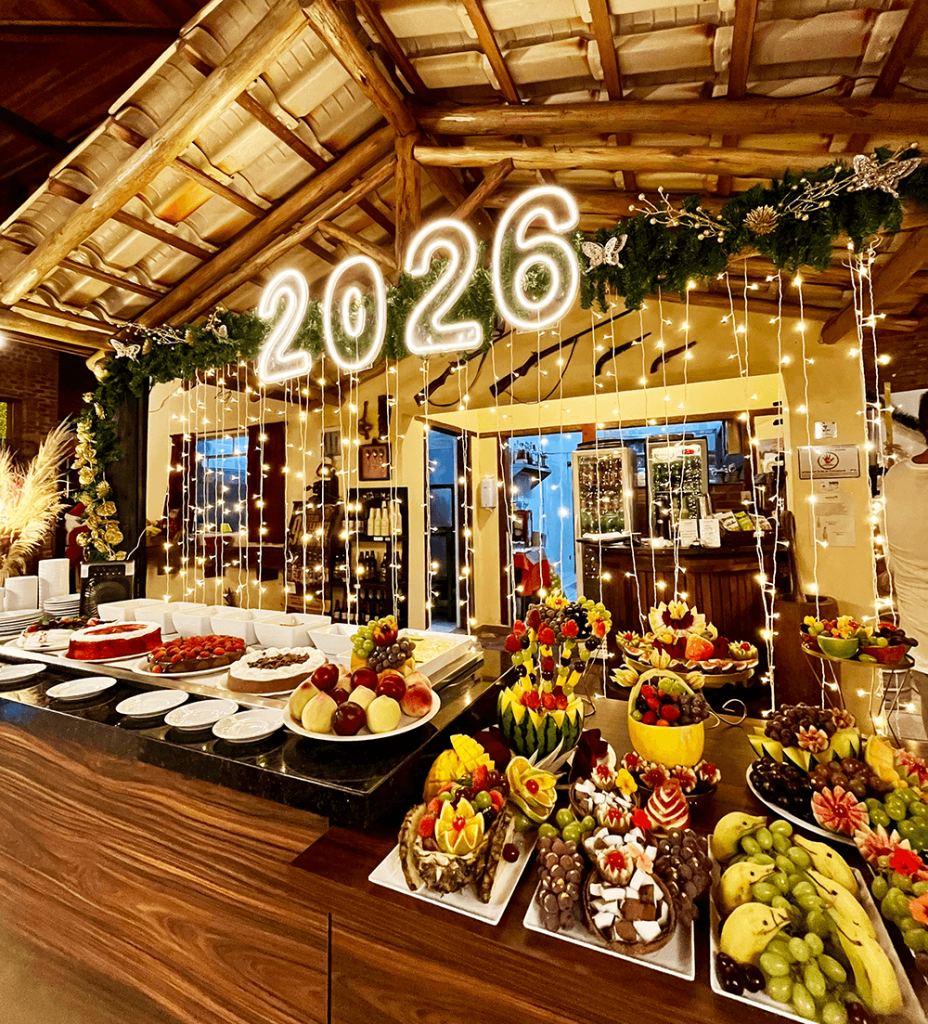 pacote de ano novo pousada em sp